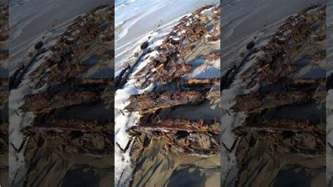 Shipwreck Emerges On North Carolina Beach Then Disappears Fox News