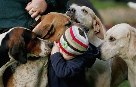 In a little while he noticed that the pair were talking about him, and he felt i've got a club foot. the boy looked down quickly and reddened. Watch A Boy and His Dog Get Reunited for Christmas