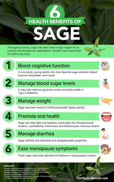 What Is Sage Used For