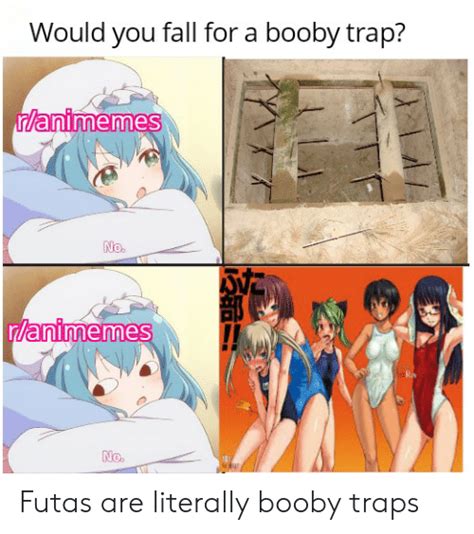 Would You Fall For A Booby Trap Ranimemes No Rlanimemes No Futas Are Literally Booby Traps