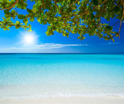 Beautiful Sunny Day On The Tropical Beach Summer Holiday Concept X10