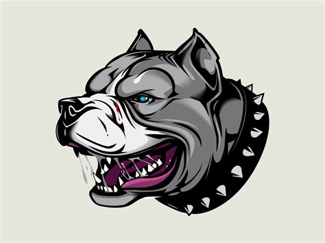 Pitbull Vector Graphics At Getdrawings Free Download