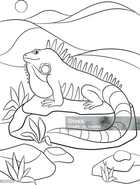 Desenho De Iguanas No Parque Para Colorir Tudodesenhos Porn Sex Picture