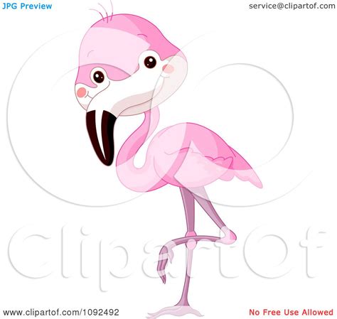 Clipart Cute Baby Zoo Flamingo Royalty Free Vector