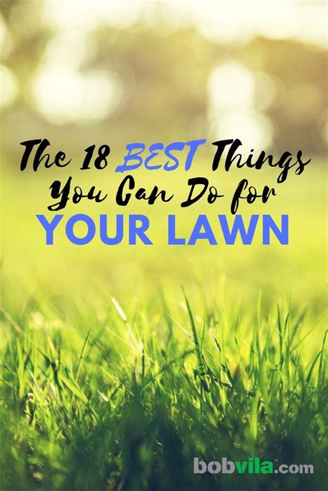 The Best Things You Can Do For Your Lawn Bob Vila
