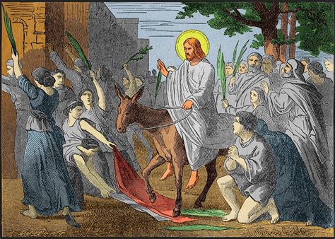 Palm Sunday Woodcut Digital Art By Vince Migliore Pixels