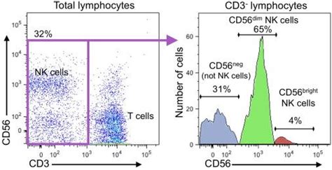 Applications of this technology are used both in basic research and clinical laboratories. Flow cytometry depicting peripheral blood NK cell subsets ...