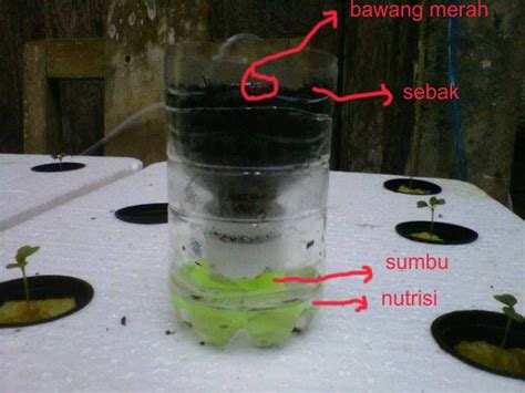 Cara menanam kangkung hidroponik dengan botol bekas. Cara Menanam Hidroponik dengan Botol Bekas - IlmuBudidaya.com