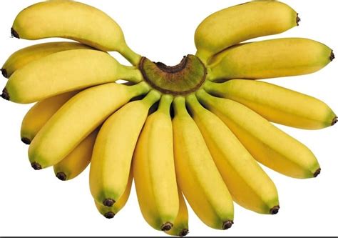Berdasarkan manfaatnya, pisang dibedakan menjadi tiga jenis, yaitu pisang serat, pisang hias dan di indonesia, terdapat lebih dari 230 jenis pisang. Jenis-Jenis Pisang Konsumsi dan Manfaatnya - Flora dan Fauna