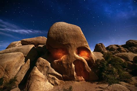 Usa California Joshua Tree Wallpaper Nature And Landscape Wallpaper