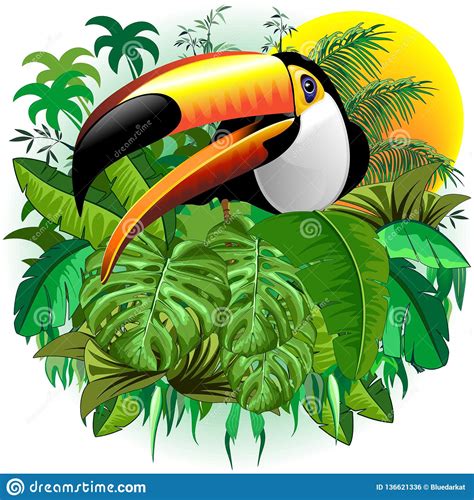 Toco Toucan Wild Exotic Bird Auf Tropischer Dschungel Vektor