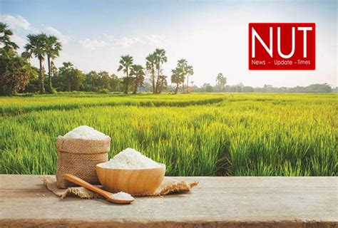 Sustainable Rice Production For Boosting Rice Export Nut