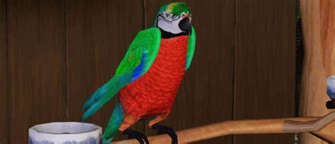 Sims 4 Pet Bird Mod Vsahobby