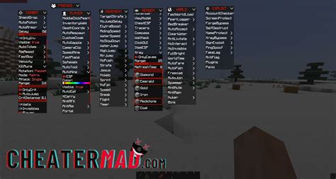 Minecraft External Hacked Client Download V1122 Cheatermadcom