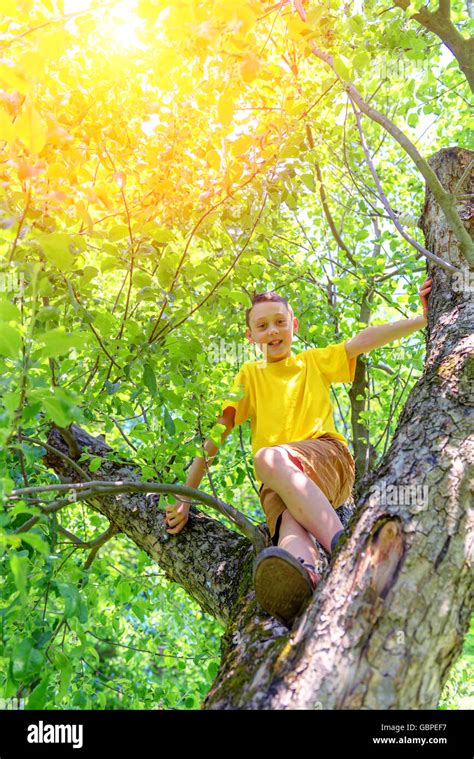 Tree Boy Hi Res Stock Photography And Images Alamy