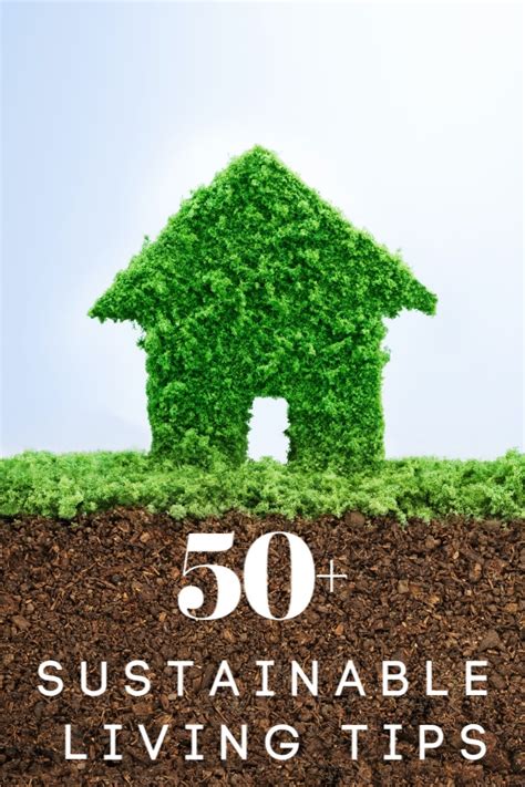50+ Sustainable Living Ideas That Won't Overwhelm You
