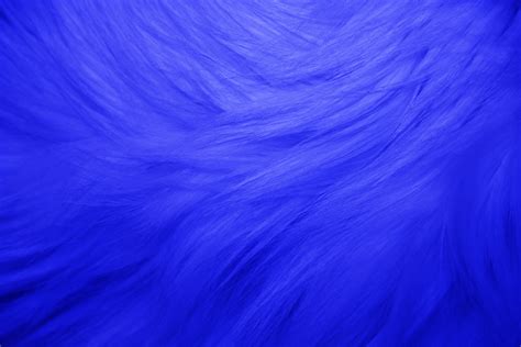 Here you can find the best 1920x1080 blue wallpapers uploaded by our community. Blue Fur Texture Picture | Free Photograph | Photos Public ...