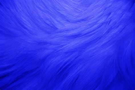 Blue Fur Texture Picture | Free Photograph | Photos Public Domain