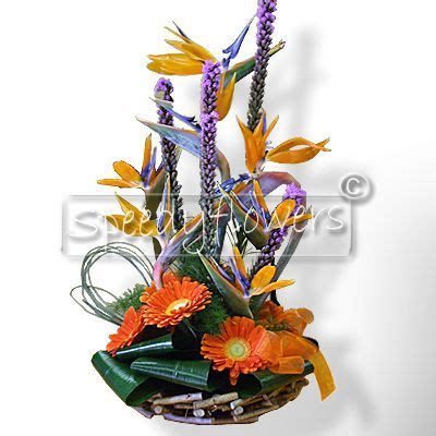 Quali sono i fiori bianchi da usare per la composizione di bouquet e quelli da coltivare in giardino. Acquista online Composizione floreale pasquale | SpeedyFlowers