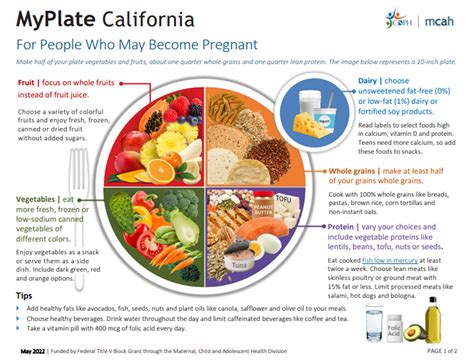 myplate for pregnant and breastfeeding moms poster english spanish bilingual in