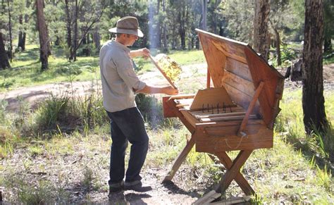 Top bar hives have been around for centuries. EPA Seeks New Restrictions on Pesticide Use — Beekeeping ...