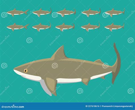 Animal Animation Sequence Bull Shark Cartoon Vector Stock Vector