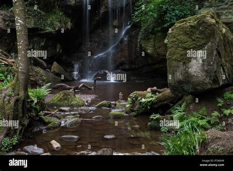 Roughting Linn Northumberland Waterfall Hi Res Stock Photography And