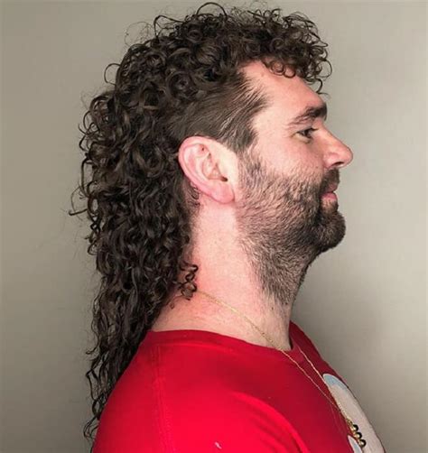 Top Amazing Mullet Hairstyles For Men Cool Mullet Hairstyles