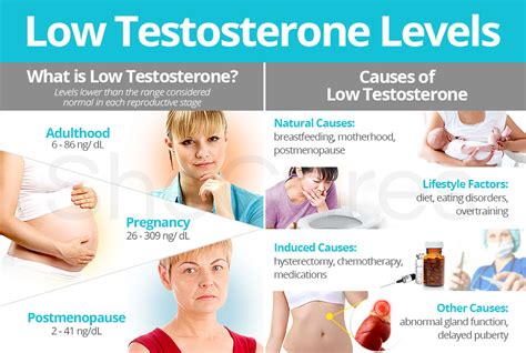 Low Testosterone Levels About And Causes Shecares