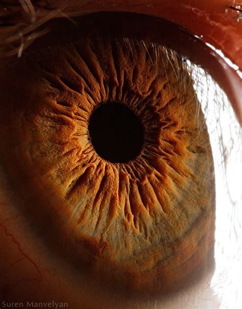Your Beautiful Eyes Amazing Close Up Photos Of Human Eyes By Suren Manvelyan