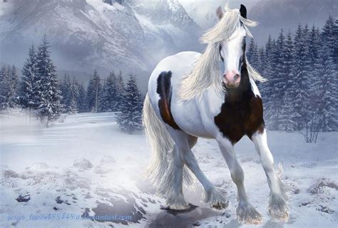 44 Winter Horses Pictures Wallpaper On Wallpapersafari