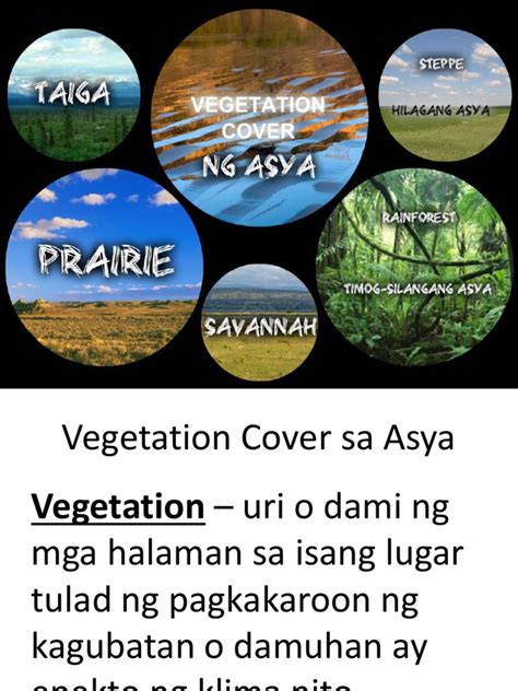 Ibigay Ang Mga Uri Ng Vegetation Cover Sa Asya Ibigaymo