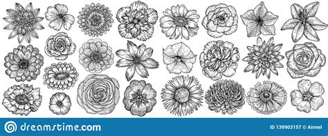 In other words, that's more than the number of bird, butterfly and bee species, combined! Hand Drawn Flowers, Vector Illustration. Floral Vintage ...