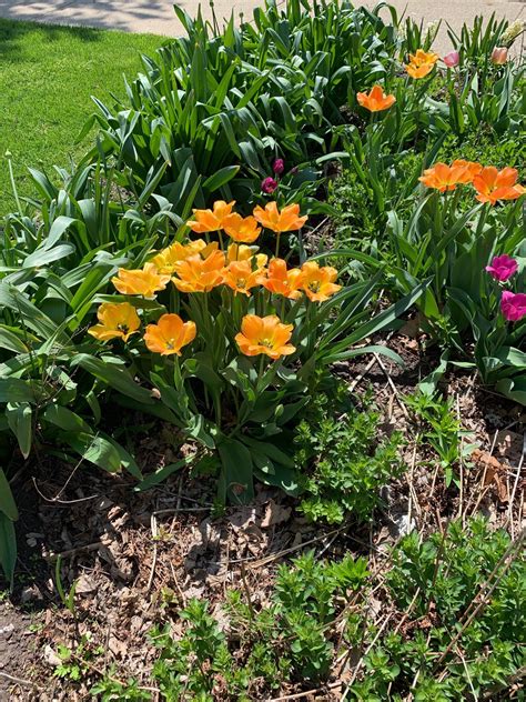 Rich in agricultural and intellectual gifts, our natives and immigrants sowed the seeds of innovation and independence from their niche in the blue ridge foothills. News - LaSalle County Bar Association