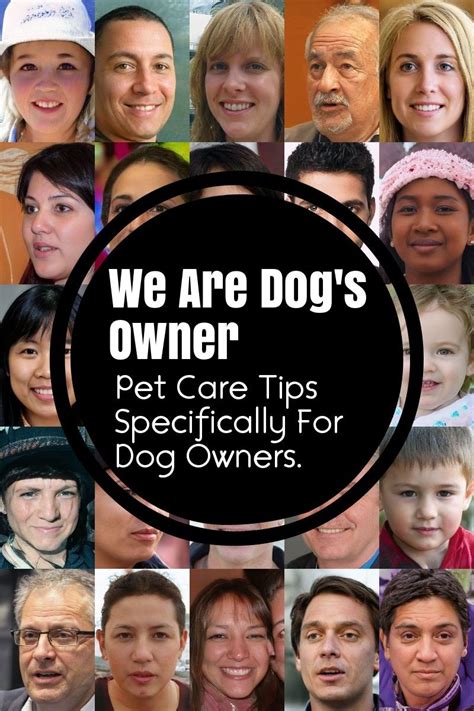 Basic Dog Care Advice For The Newcomer Dog Care Pet Care Tips Dogs