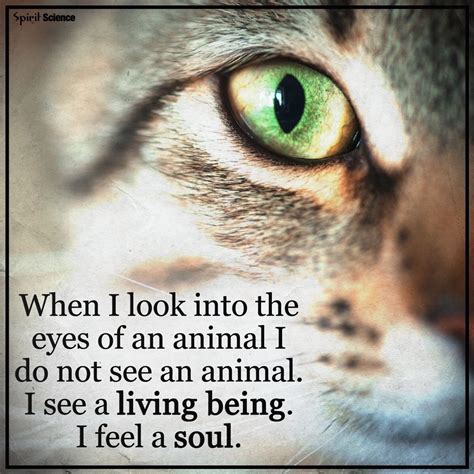 When I Look Into The Eyes Of An Animal