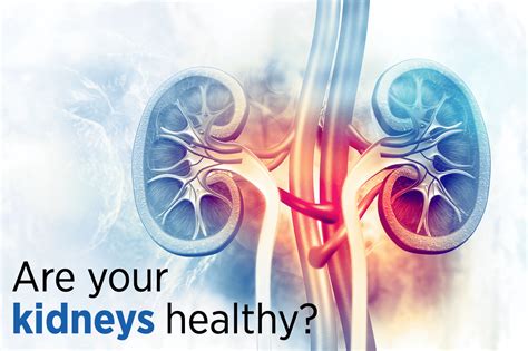 Are Your Kidneys Healthy Know Your Numbers To Find Out Life Line