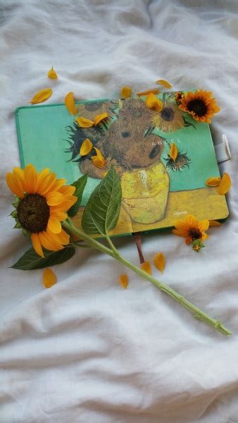 We did not find results for: Paling Keren 22+ Foto Bunga Aesthetic - Gambar Bunga Indah