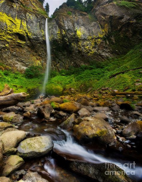 Elowah Falls Photograph By Matt Tilghman
