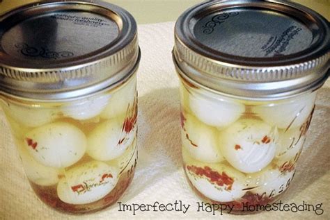 20 Best Pickled Quail Eggs Recipes Best Recipes Ideas And Collections