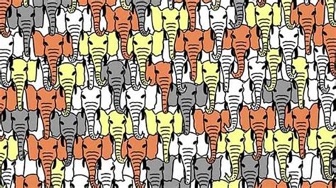 Most won\'t be able to see it at all and give up. Can you find the panda hidden among the elephants? Try the ...