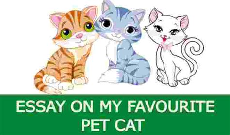 10 Lines On My Favourite Pet Cat Essay On My Favourite Pet Cat