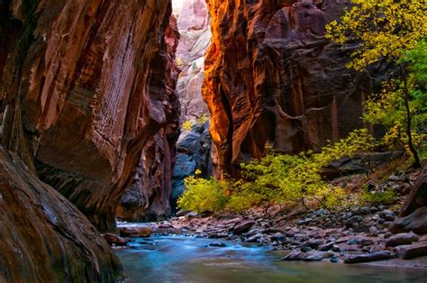 8 Things You Didnt Know About Zion National Park Us