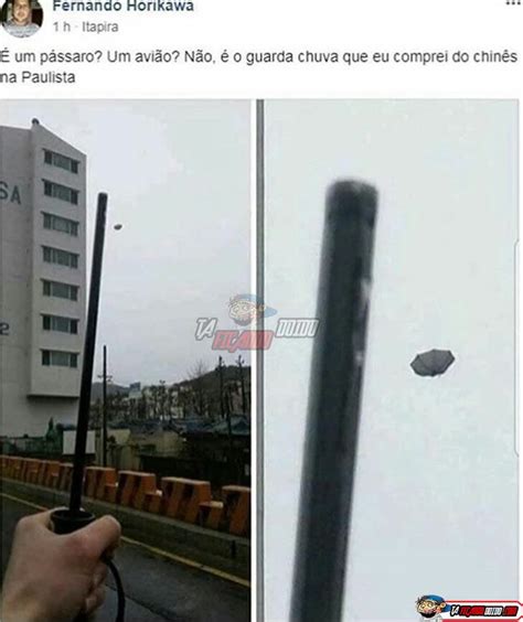 Time joga amanhã palmeiras prepara v. Guarda-chuva comprado no Chinês da Paulista | Memes ...
