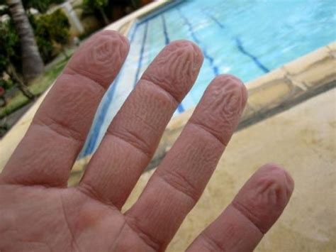 手指浸水发泡 具有特殊功能 观察 生物探索