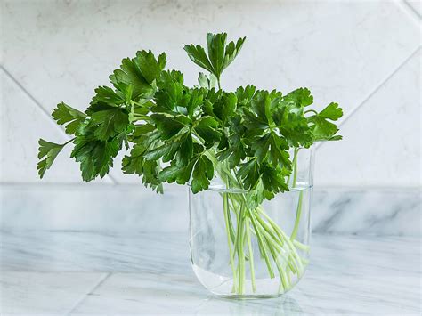 11 Herbs Every Cook Should Use Cooking Light
