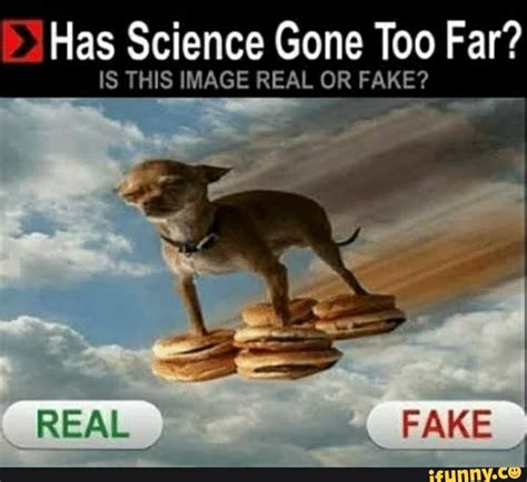 Has Science Gone Too Far Is This Image Real Or Fake Ifunny Brazil