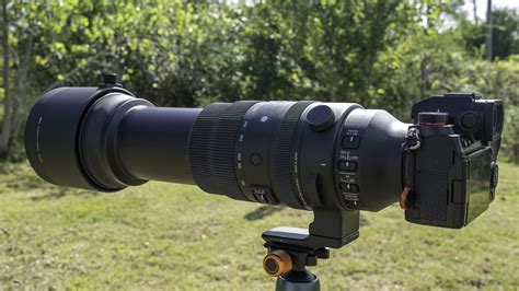 Big Lens Big Results Sigma 150 600mm F5 63 Dg Dn Os Sport Review