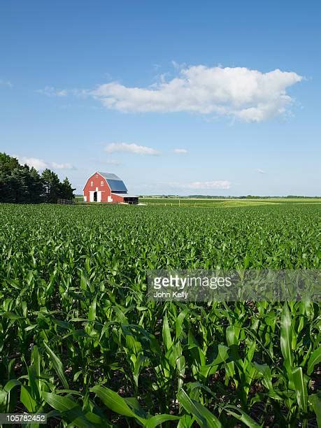 Nebraska Corn Fields Photos And Premium High Res Pictures Getty Images