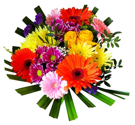 Flower Hd Png Transparent Flower Hdpng Images Pluspng